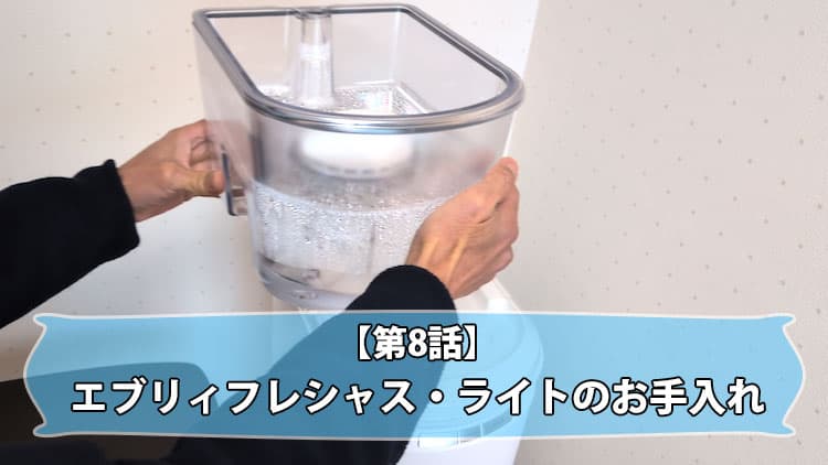 エブリフレシャス・ライトのお手入れやってみた