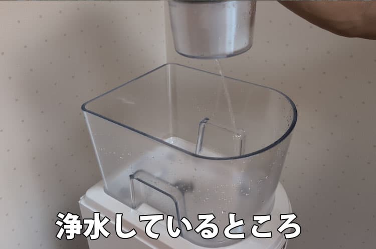 6ヶ月使用したエブリィフレシャス・ライトのサーバーで浄水しているところ